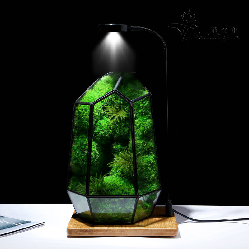 Moss Decorative Manufacturer Secrets for Stunning Preserved Plant Walls